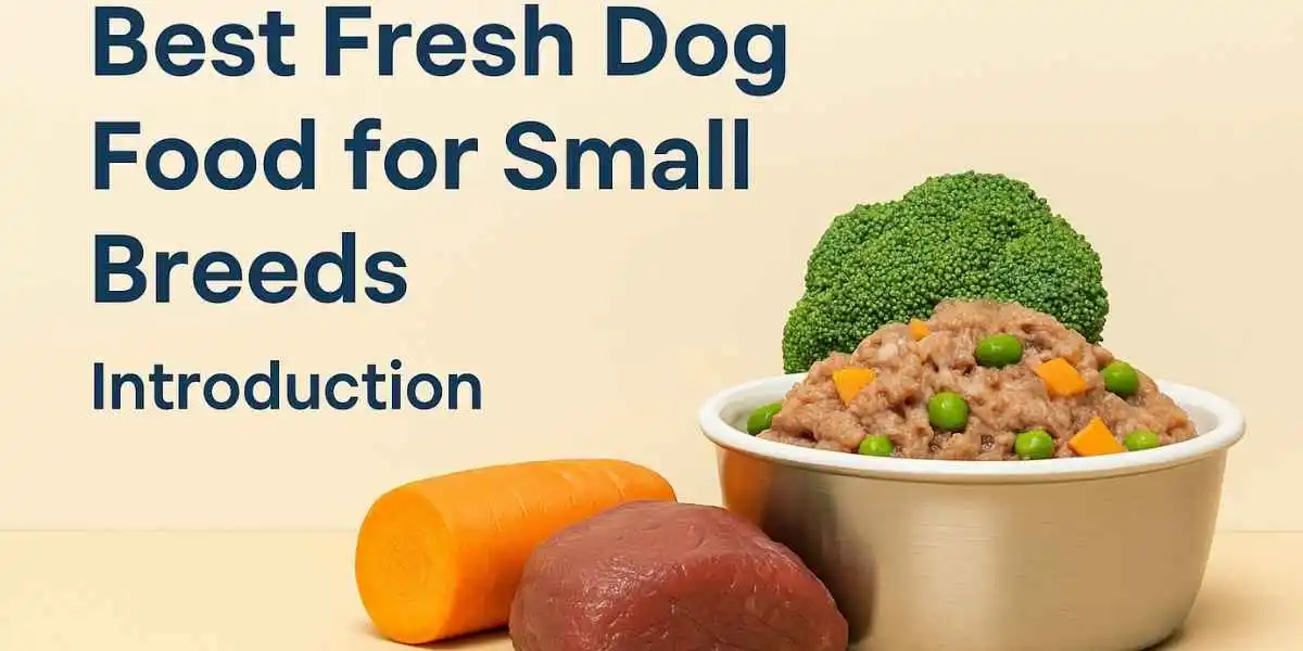 Best Fresh Dog Food for Small Breeds