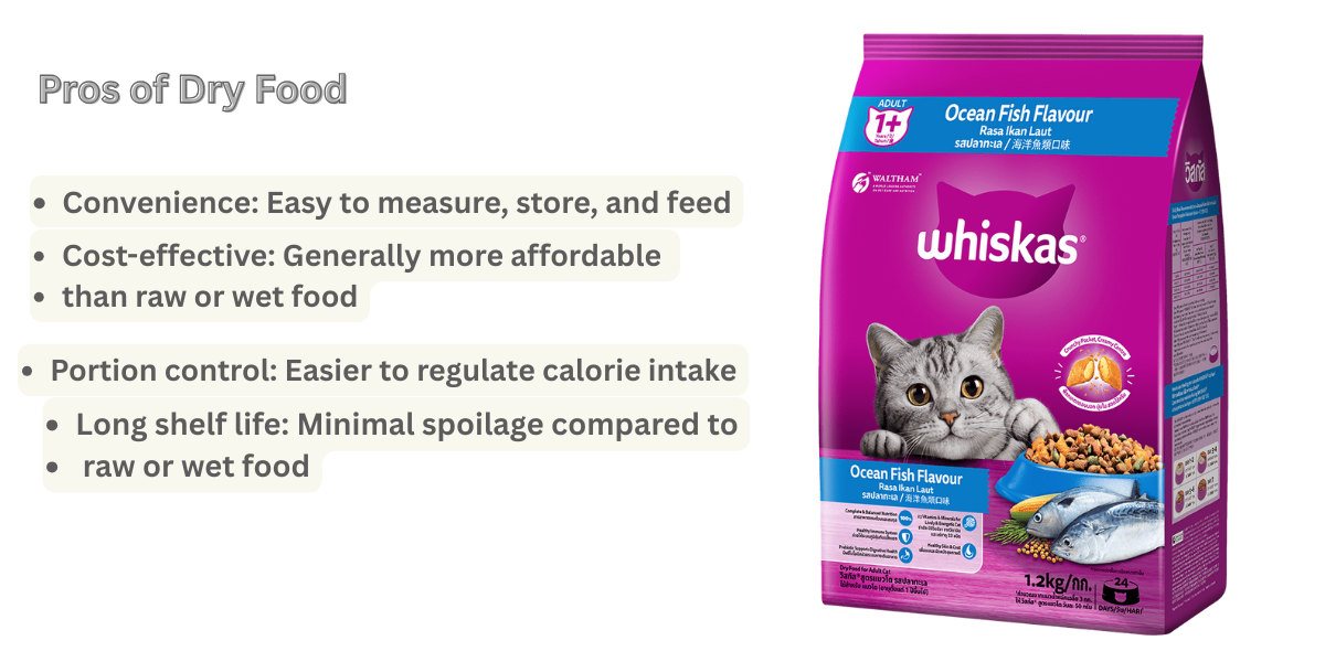Cat Nutrition