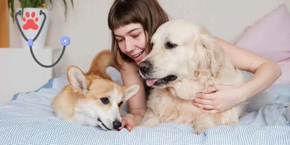 Pet Insurance Deductible Options