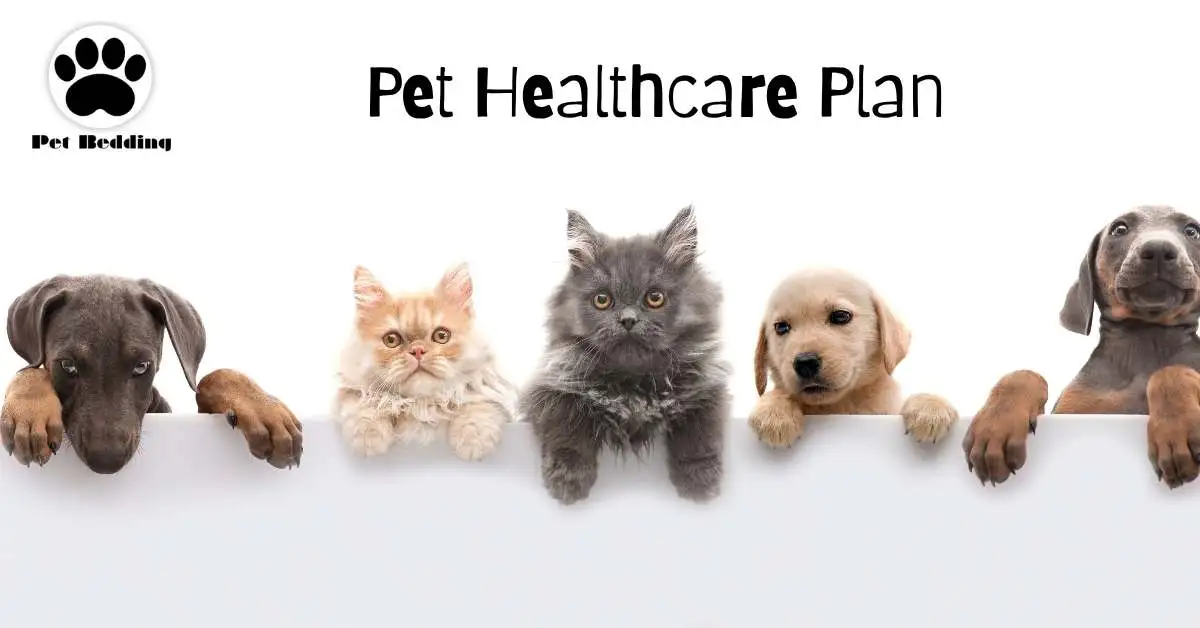 pet healthcare plan